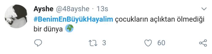Hayaller ve Gerçekler: Twitter Aleminin Hayalleri Dile Geldi #BenimEnBüyükHayalim