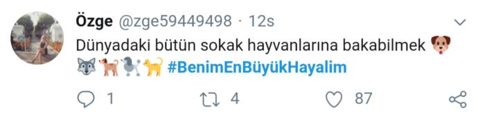 Hayaller ve Gerçekler: Twitter Aleminin Hayalleri Dile Geldi #BenimEnBüyükHayalim