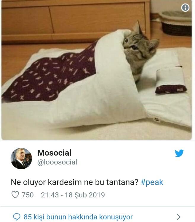 41 Kanalda Aynı Anda Yayınlanarak