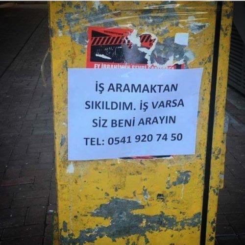 41 Kanalda Aynı Anda Yayınlanarak