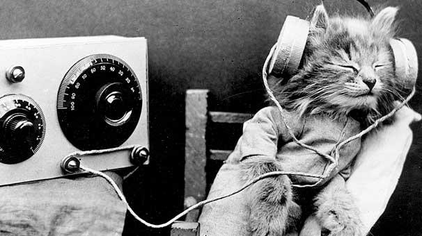 Klasik müzik ve aroma terapi