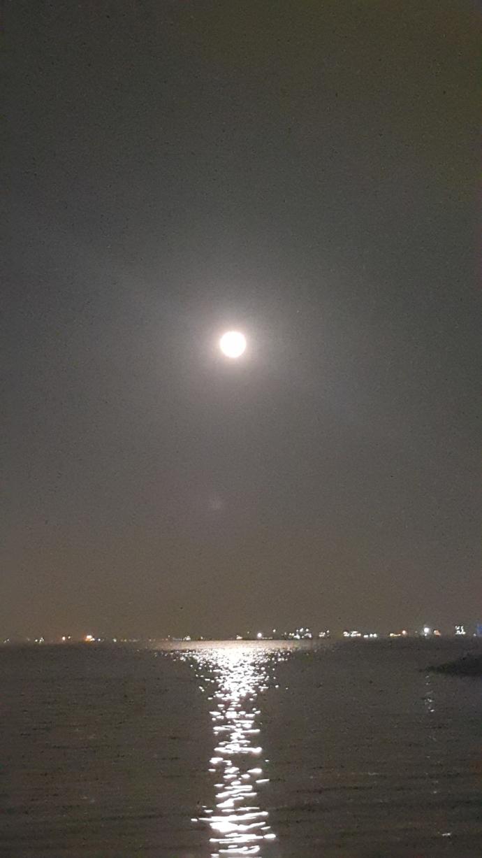 Tarkan, Süper Ay'ı Pas Geçmedi (Foto Galeri) 