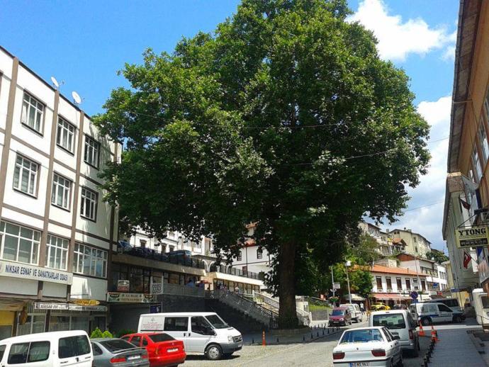 Danişmentlilerin Başkenti Tarihi İlçe: Niksar!