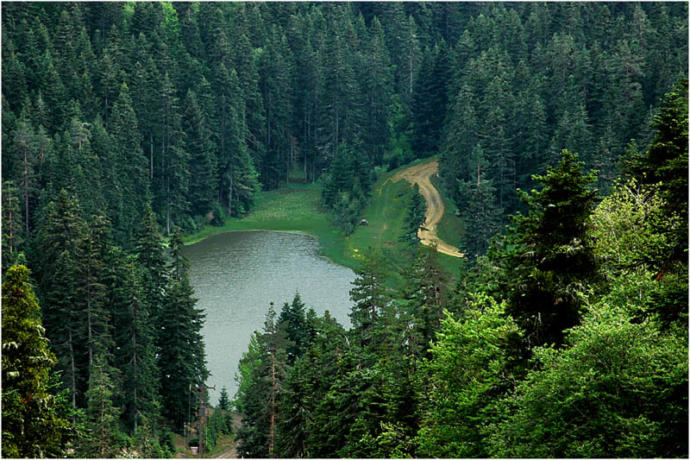 Kuzeyin İncisi Ayancık