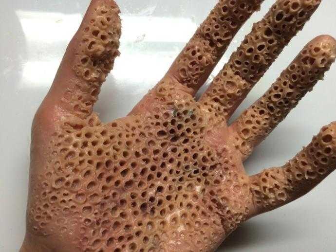 Simetri Takıntısı Olanları Etkileyecek Mükemmel Görüntüler