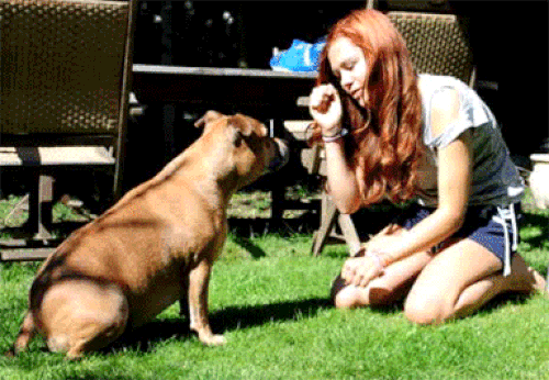 Evde Köpek Besleyenlerin Aşina Olduğu Ponçik Durumlar!