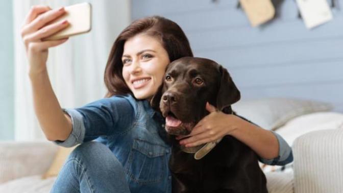 Evde Köpek Besleyenlerin Aşina Olduğu Ponçik Durumlar!