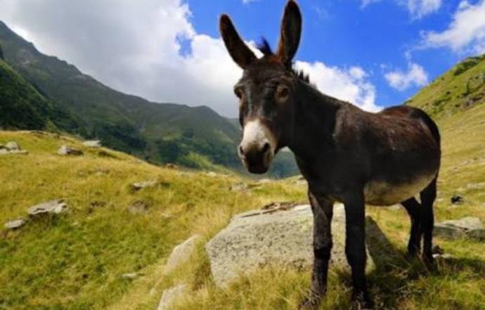 Hayatında Neler Olacağını Xper Seviyen Belirliyor