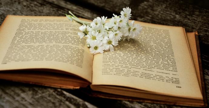 İçinizi Isıtıp, Ufkunuzu Açacak 10 Kitap