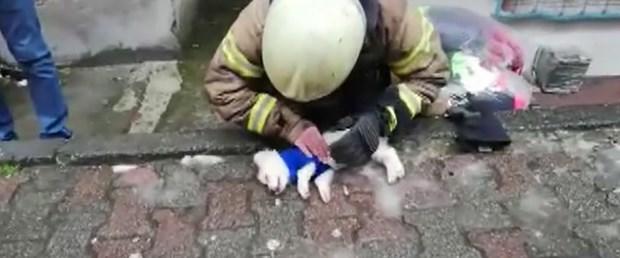 Dumandan Zehirlenen Köpeğe Suni Teneffüs ve Kalp Masajı Yapıldı