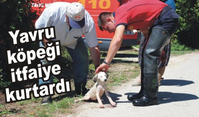 Dumandan Zehirlenen Köpeğe Suni Teneffüs ve Kalp Masajı Yapıldı