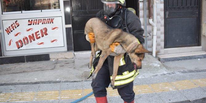 Dumandan Zehirlenen Köpeğe Suni Teneffüs ve Kalp Masajı Yapıldı