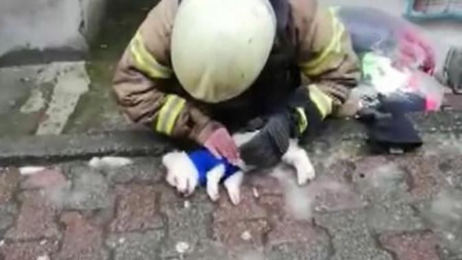 Dumandan Zehirlenen Köpeğe Suni Teneffüs ve Kalp Masajı Yapıldı
