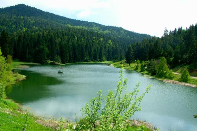 Diyojen'in Şehri, Sinop