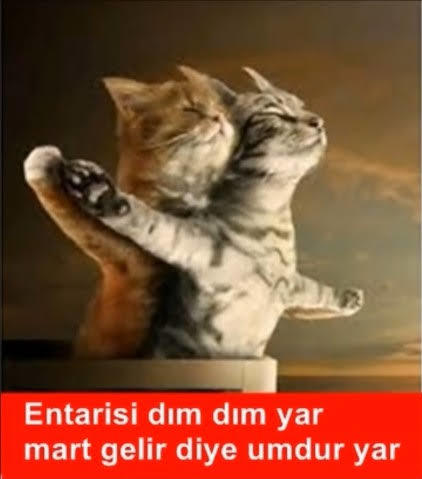 Geldi Geldi  Mart  Geldi! Marteniçkalarla Kollara Bahar Geldi🔴