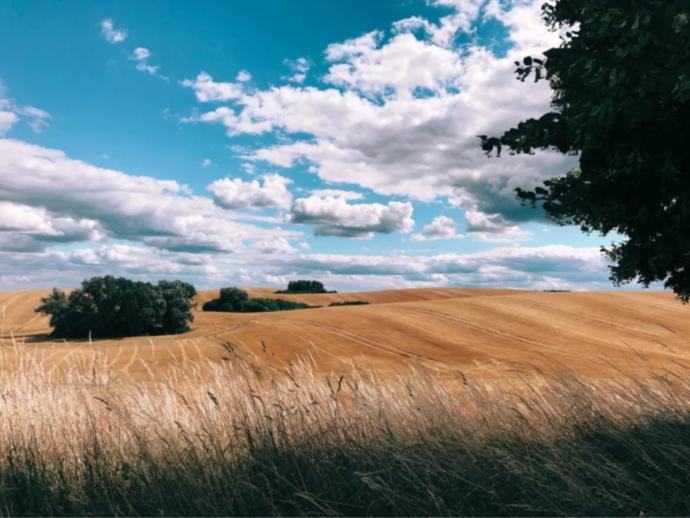 “Shot on iPhone” Apple'ın Fotoğraf Yarışmasından Muhteşem Kareler