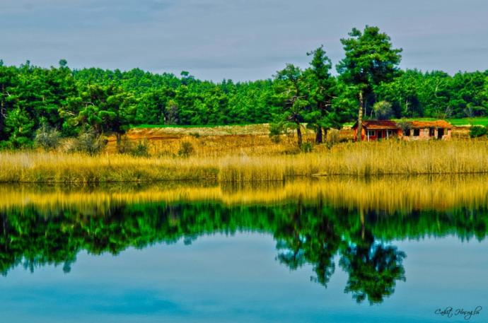 Ege'nin Dik Başlı Horozu Denizli'yi Tanıyalım!