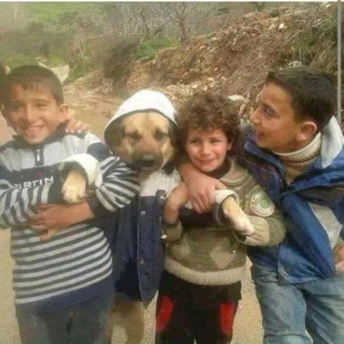 Nedir Bu Mutluluk?