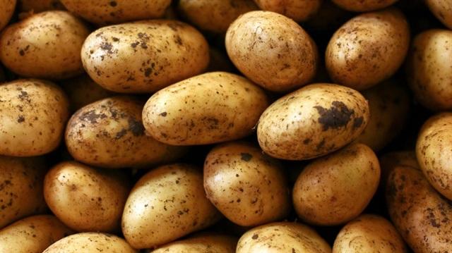Patates