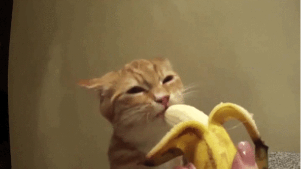 Erkekler İçin Cinselliğin Can Damarı Oral Seks Pozisyonları!
