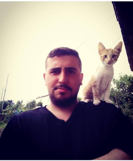 Kediciler Buraya! Kedi Show "Catsburg" Moskova 2019 Başladı (Foto Galeri)