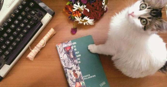 Haftanın Kitabı: Bakış Açımıza Müdahale Eden