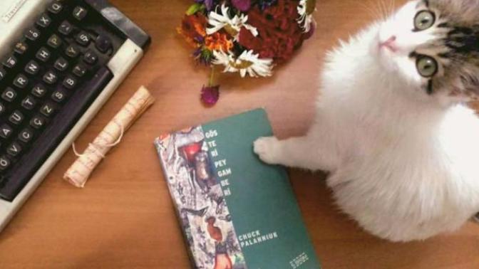 Haftanın Kitabı: Bakış Açımıza Müdahale Eden "Gösteri Peygamberi"