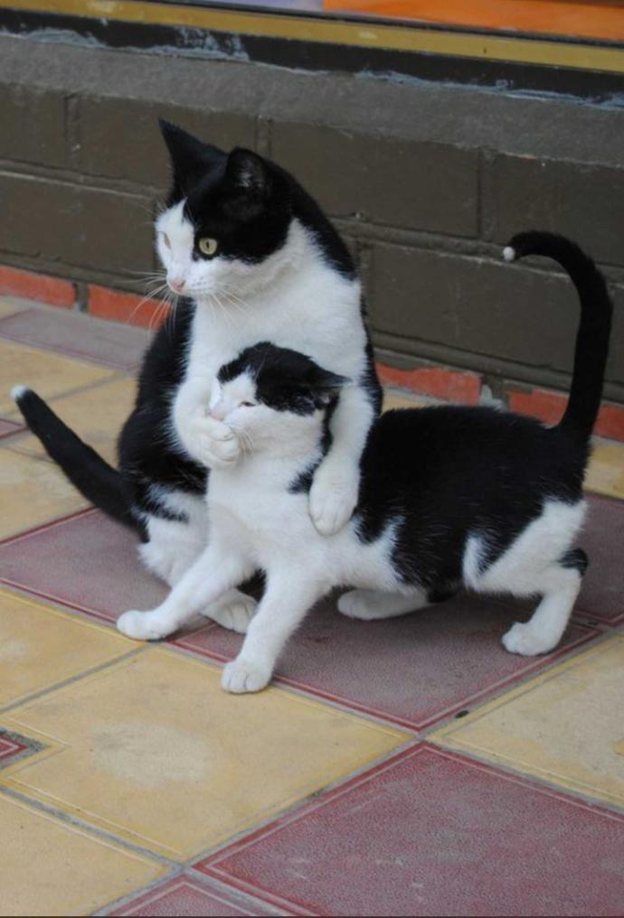 Milli Robotumuza Yüz Eklendi