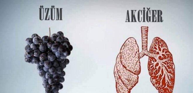 Organlara Benzerliği İle Ün Salmış Sebze Ve Meyveler Nelerdir?