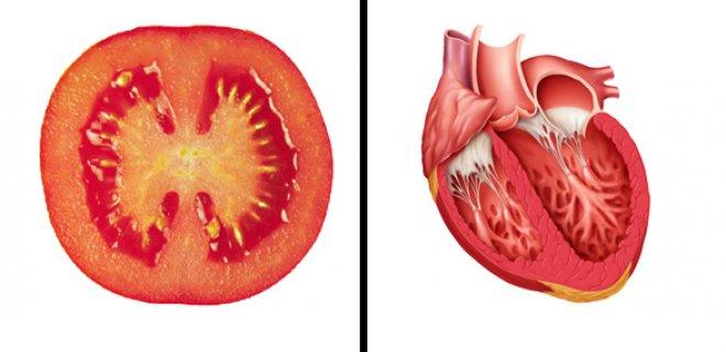 Organlara Benzerliği İle Ün Salmış Sebze Ve Meyveler Nelerdir?