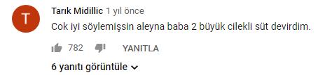 Türk Şarkıcıların Hayranları Tarafından Youtube Videolarının Altına Atılan Birbirinden Eğlenceli Yorumlar
