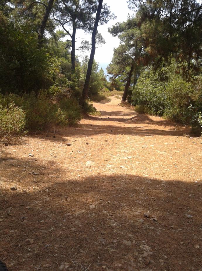 Büyükada Gezisi; Büyükada Kulesi, Aya Yorgi Kilisesi ve Terk Edilmiş Yetimhane