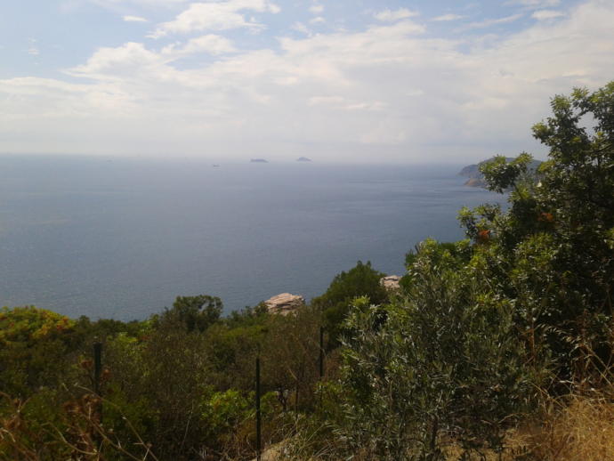 Büyükada Gezisi; Büyükada Kulesi, Aya Yorgi Kilisesi ve Terk Edilmiş Yetimhane