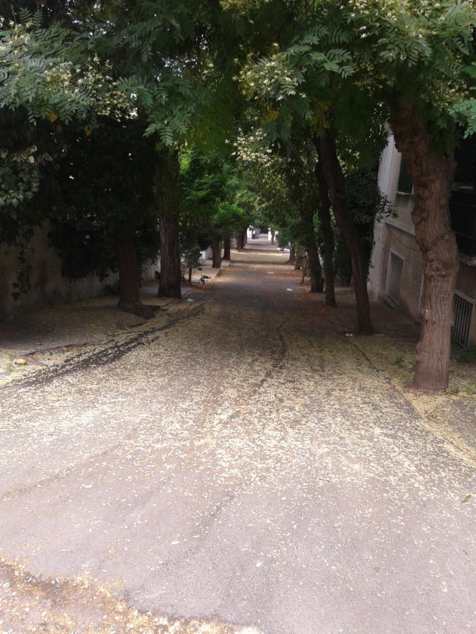 Büyükada Gezisi; Büyükada Kulesi, Aya Yorgi Kilisesi ve Terk Edilmiş Yetimhane