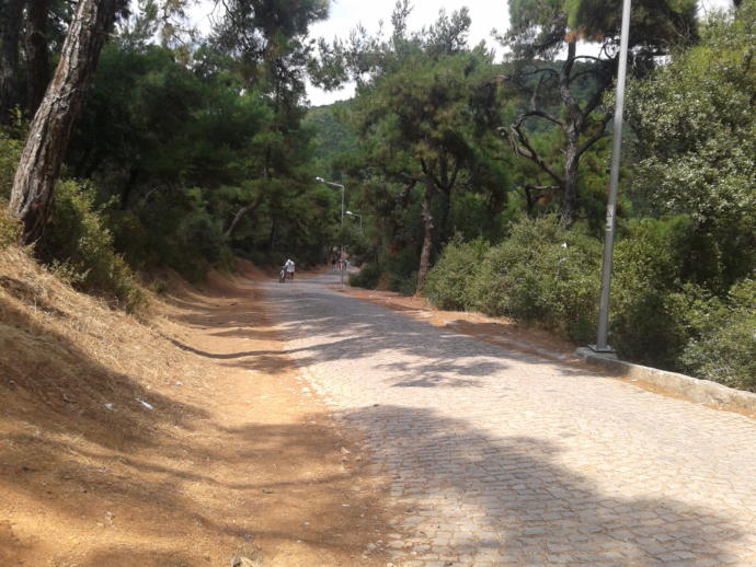 Büyükada Gezisi; Büyükada Kulesi, Aya Yorgi Kilisesi ve Terk Edilmiş Yetimhane