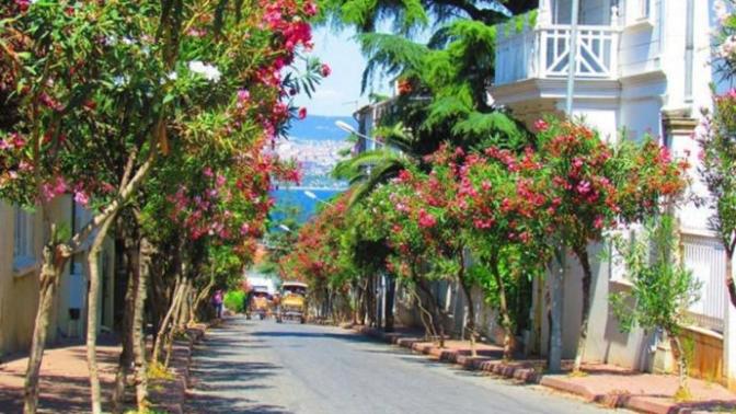 Büyükada Gezisi; Büyükada Kulesi, Aya Yorgi Kilisesi ve Terk Edilmiş Yetimhane