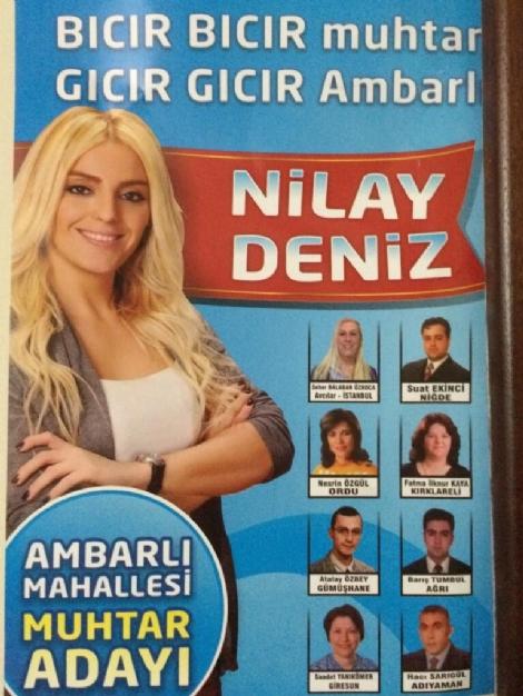 Seçimlerin Eğlenceli Yanı, Afişler, Sloganlar