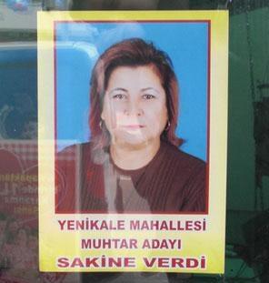 Seçimlerin Eğlenceli Yanı, Afişler, Sloganlar