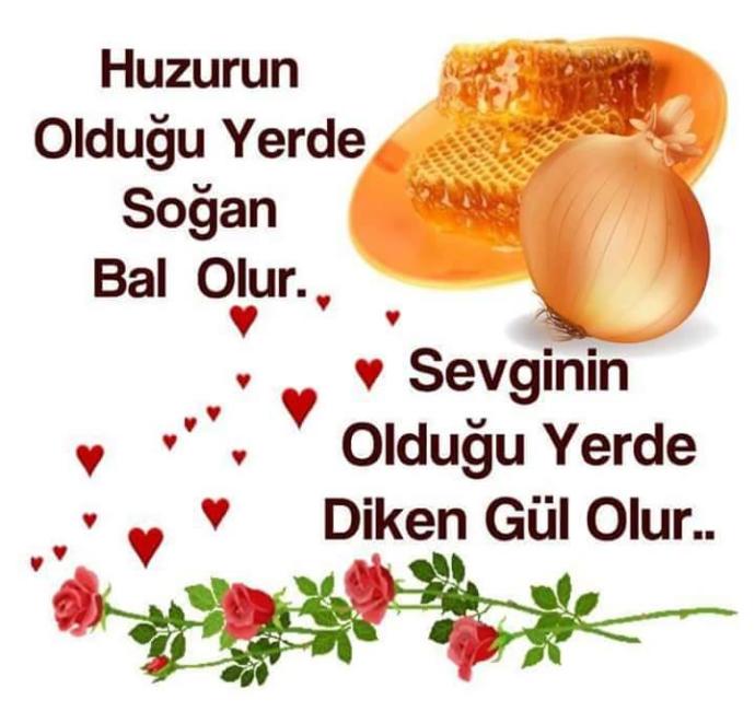 Ne Seninle Ne Sensiz Cinsellik…