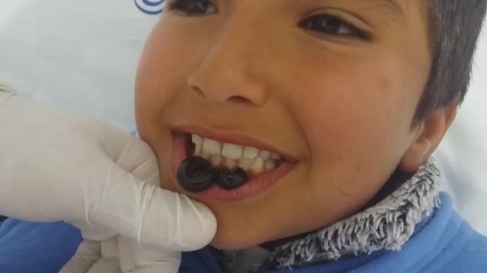 Çağları Aşıp Gelen Mucize Doktor; Sülük