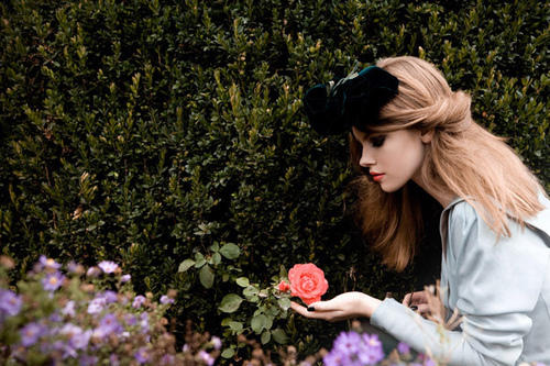 🌸