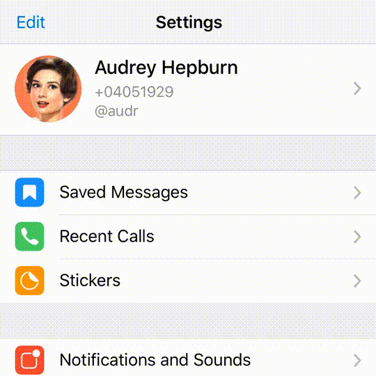 Telegram'a Dev Gizlilik Güncellemesi Geldi