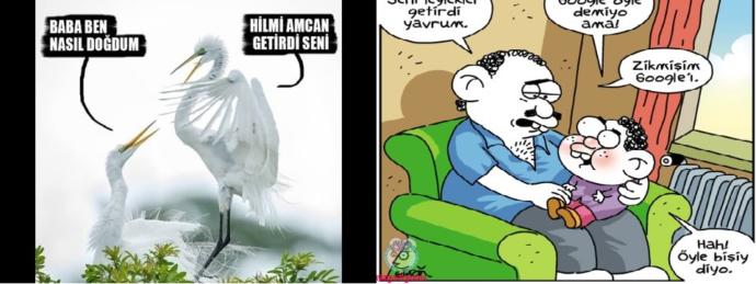 Ülkemize Has Sinir Bozucu Naif Yalanlar