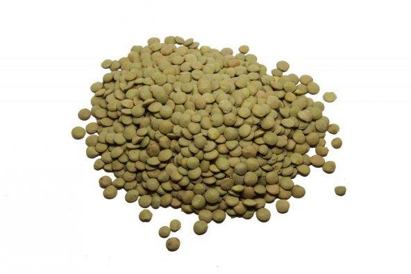 Yeşil Mercimek