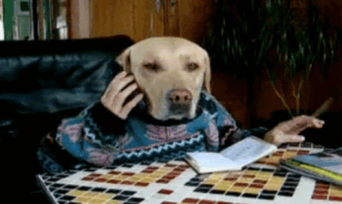 Bitmek bilmeyen telefon görüşmeleri…