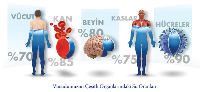 Yaşam Kaynağımız Suyu Yeteri Kadar Tüketiyor muyuz?