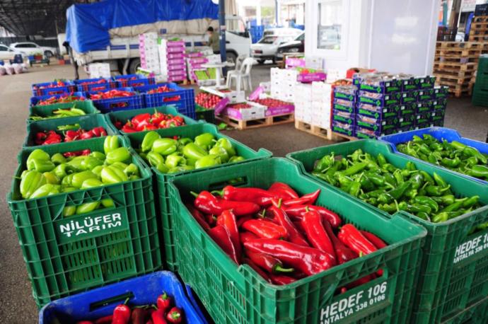 Tanzim Satış Uygulaması Zincir Marketlerde de Başladı (Migros, CarrefourSA, A101, ŞOK ve BİM)