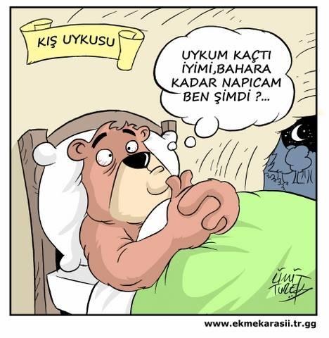 KS Konularına Göre Eğlenceli 8 Karikatür- 2 ( Eksik Kalan Konular )