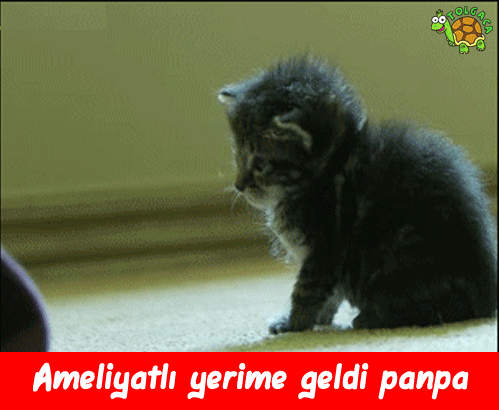 İndir o elini :)