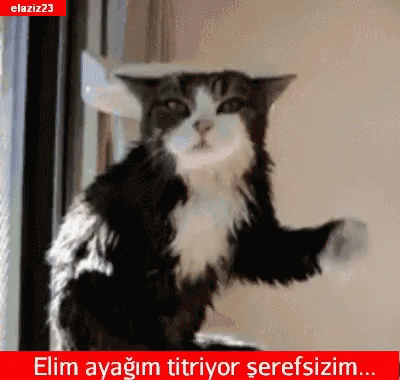 Ben mi, sen mi 😳 o kazandı.